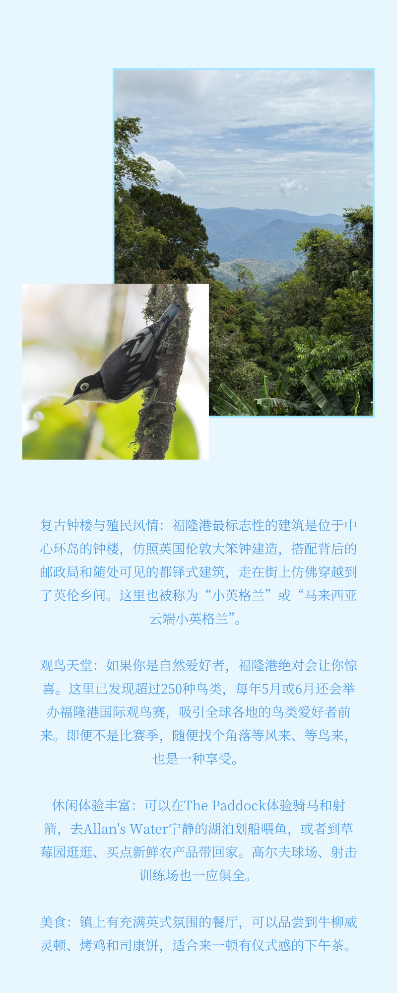 旅游介绍长图,展示森林山景、鸟类照片和景点文字说明。